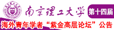 插插插日日日日南京理工大学第十四届海外青年学者紫金论坛诚邀海内外英才！